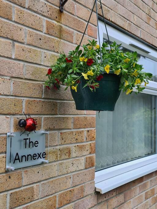 The Annexe Apartment